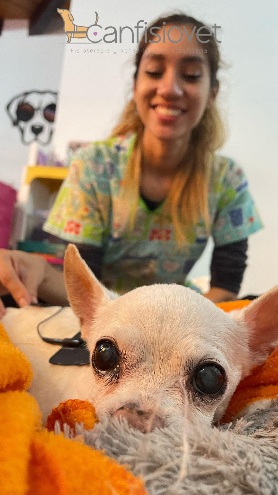 Electroestimulación