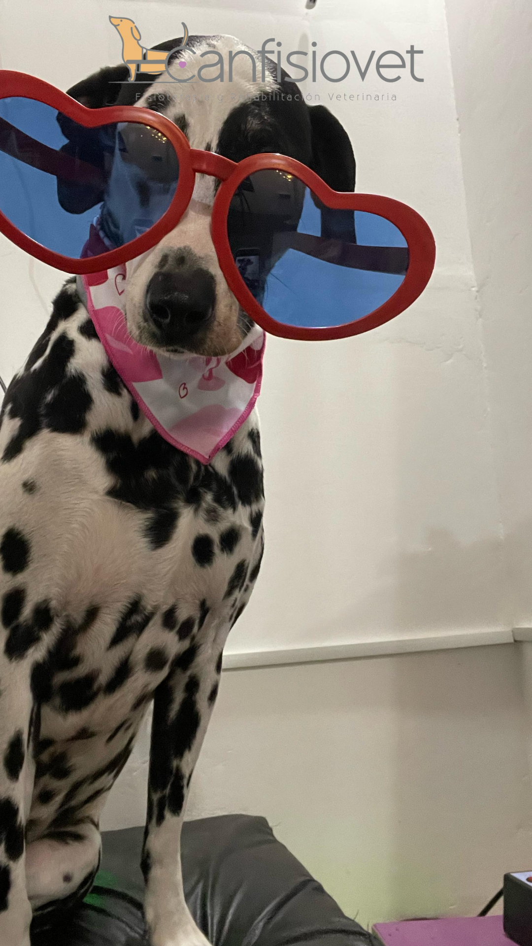 Ejercicios de recuperación