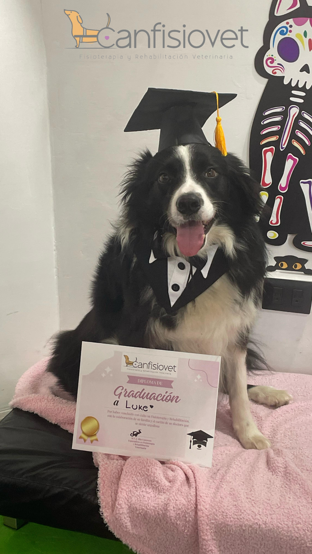 Equipo de rehabilitación