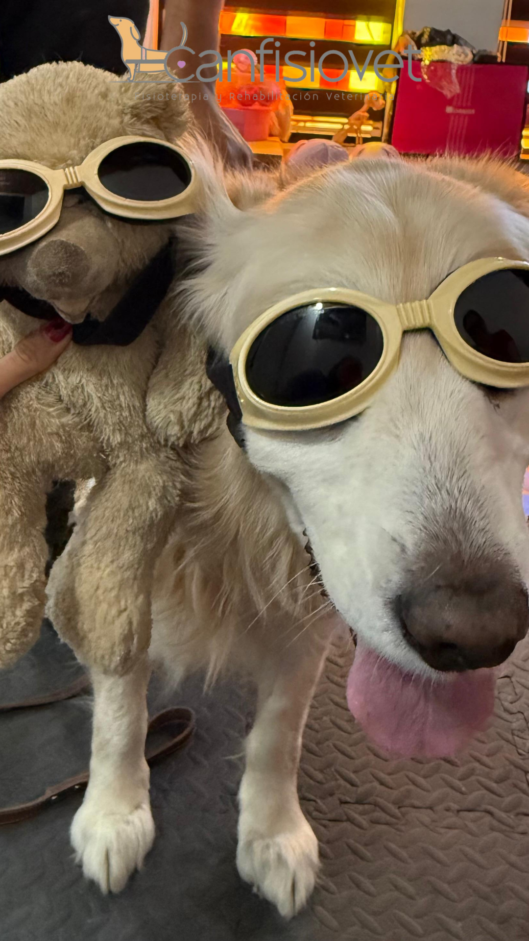 Equipo de rehabilitación