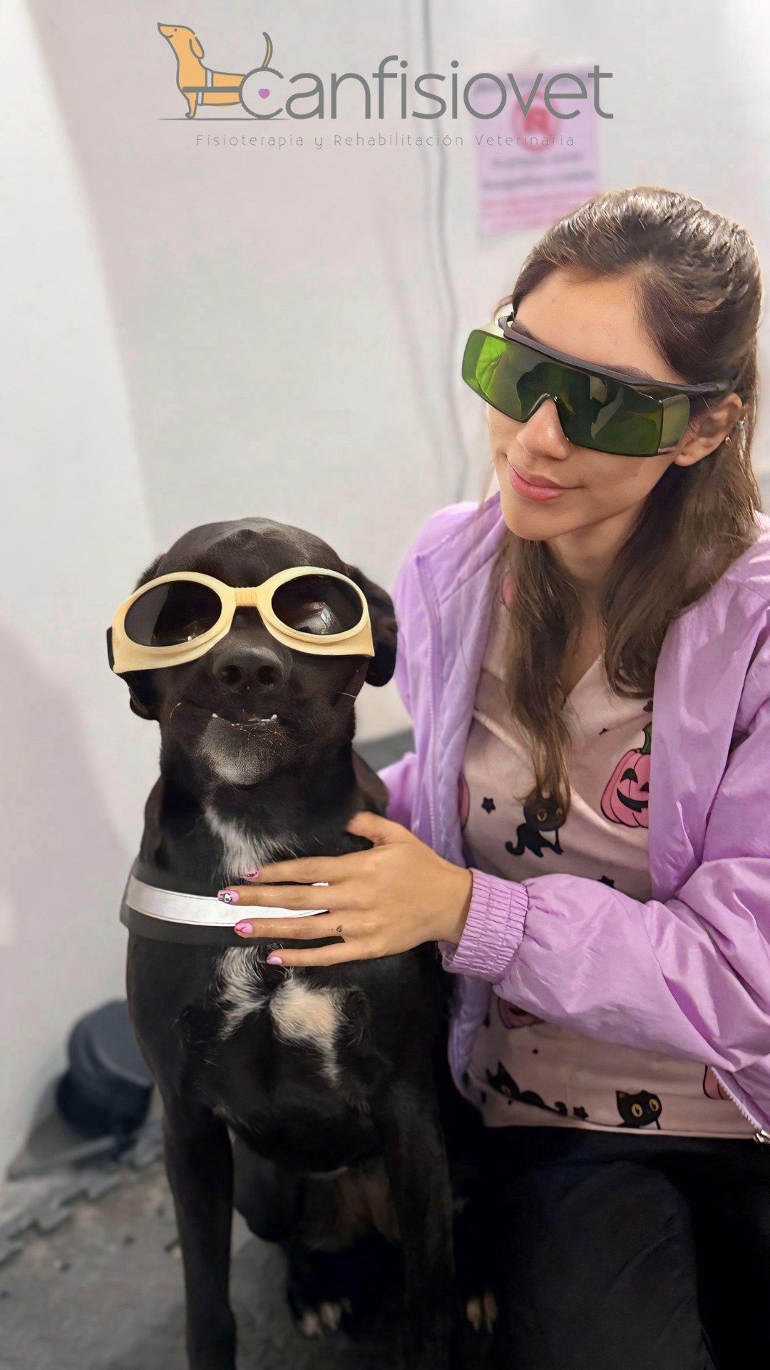 Mindy - Caso de éxito