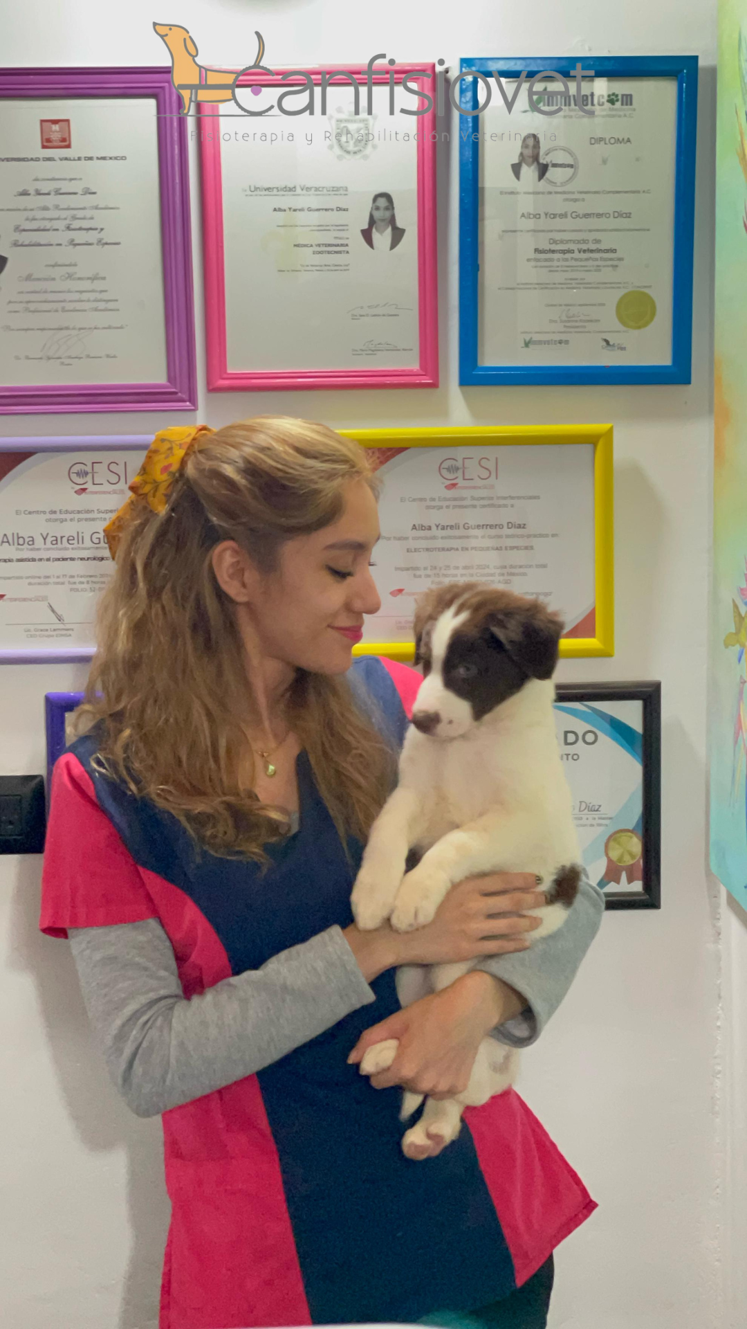 Progreso de paciente