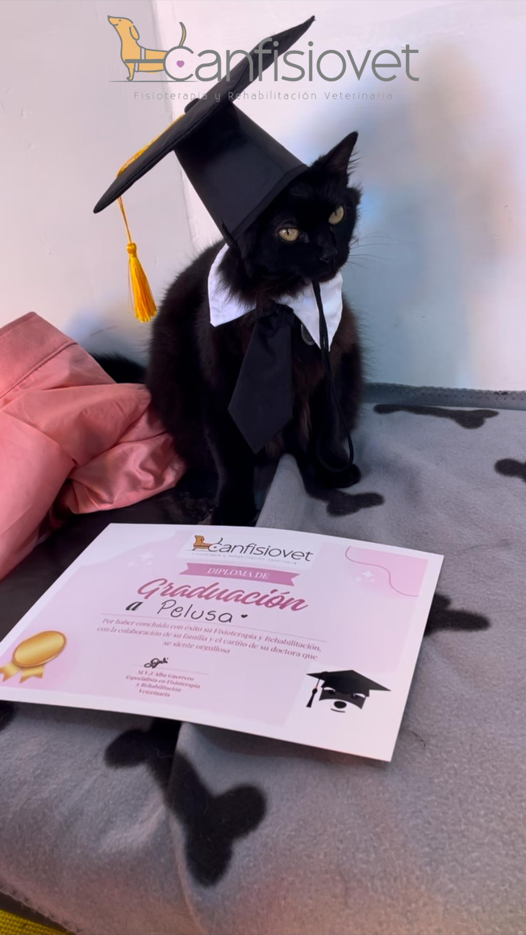 Pelusa - Caso de éxito