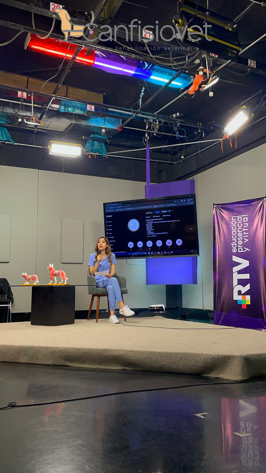 Equipo de rehabilitación