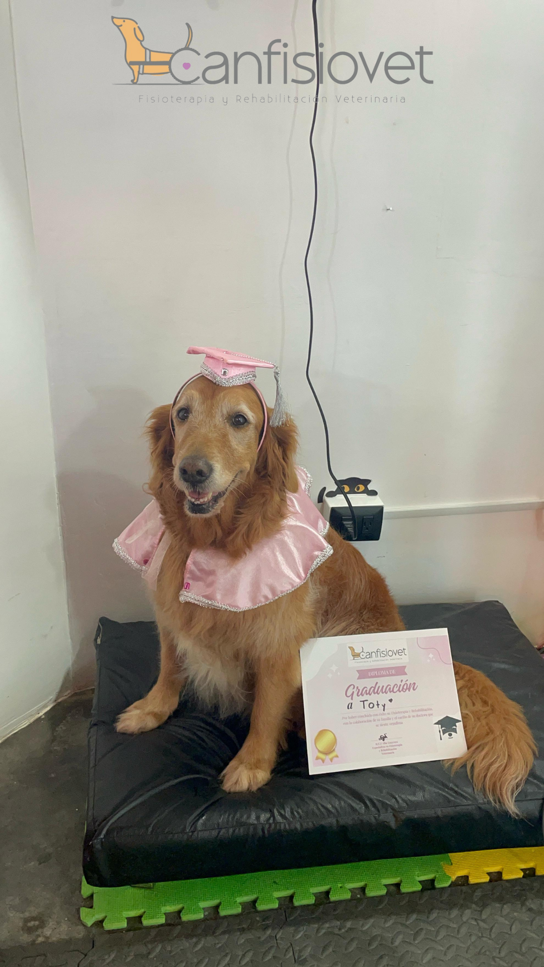 Equipo de rehabilitación