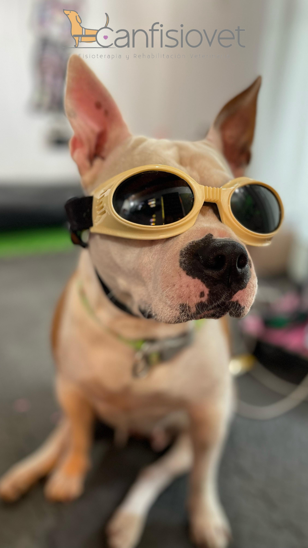 Equipo de rehabilitación